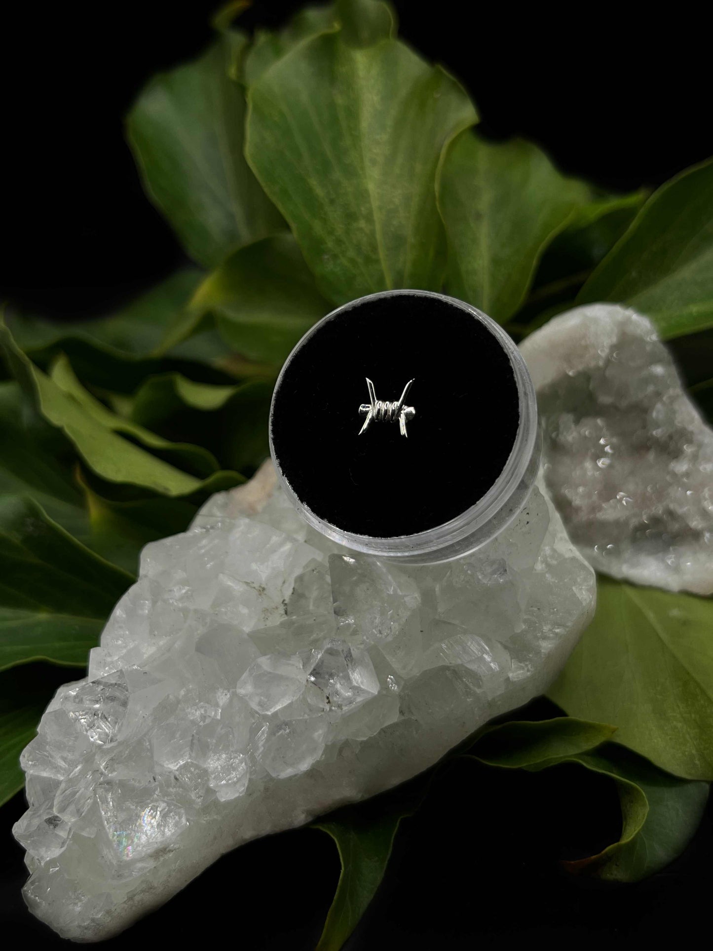 Barb-Ara by Junipurr