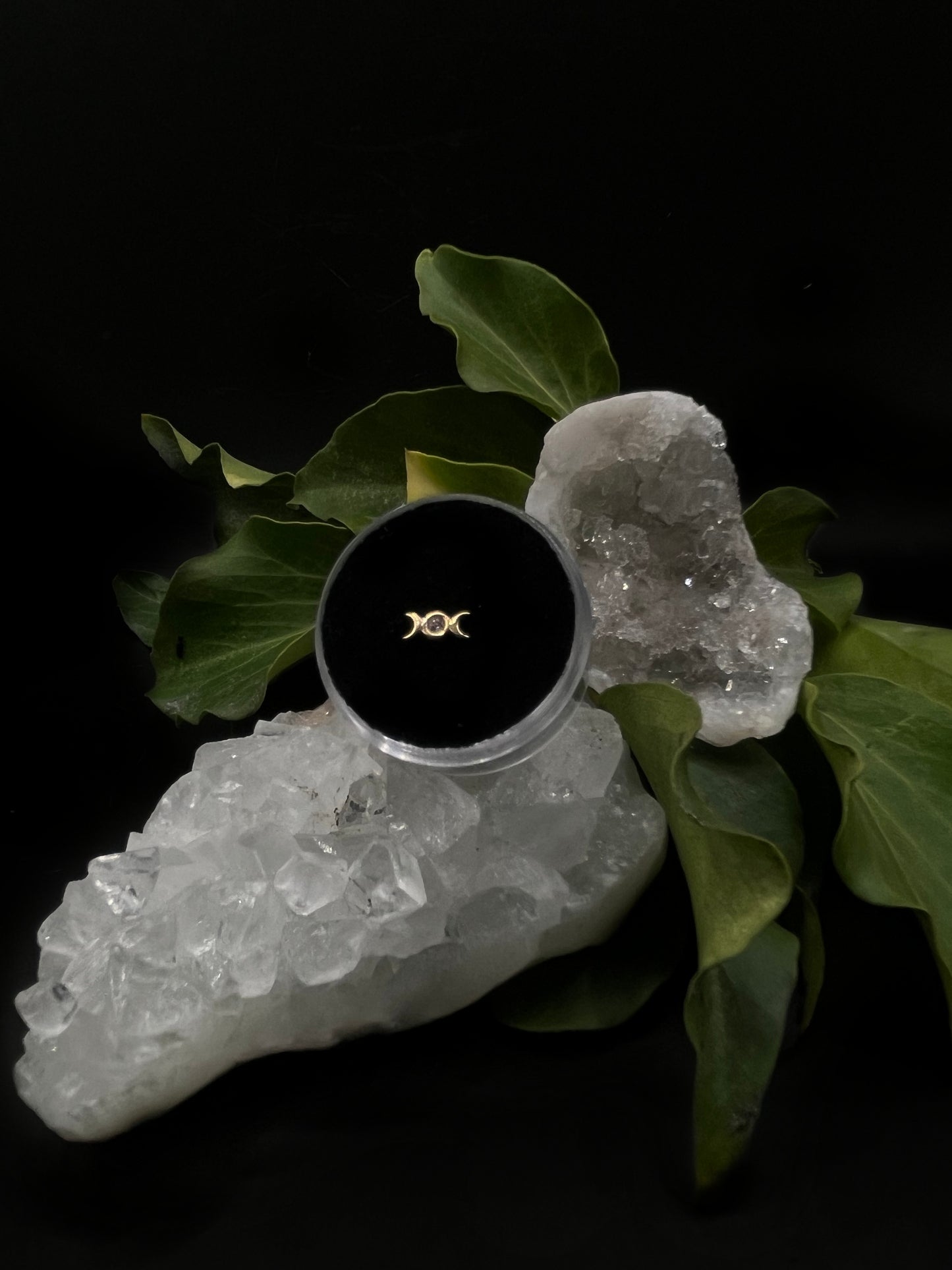 Double Crescent by Tish