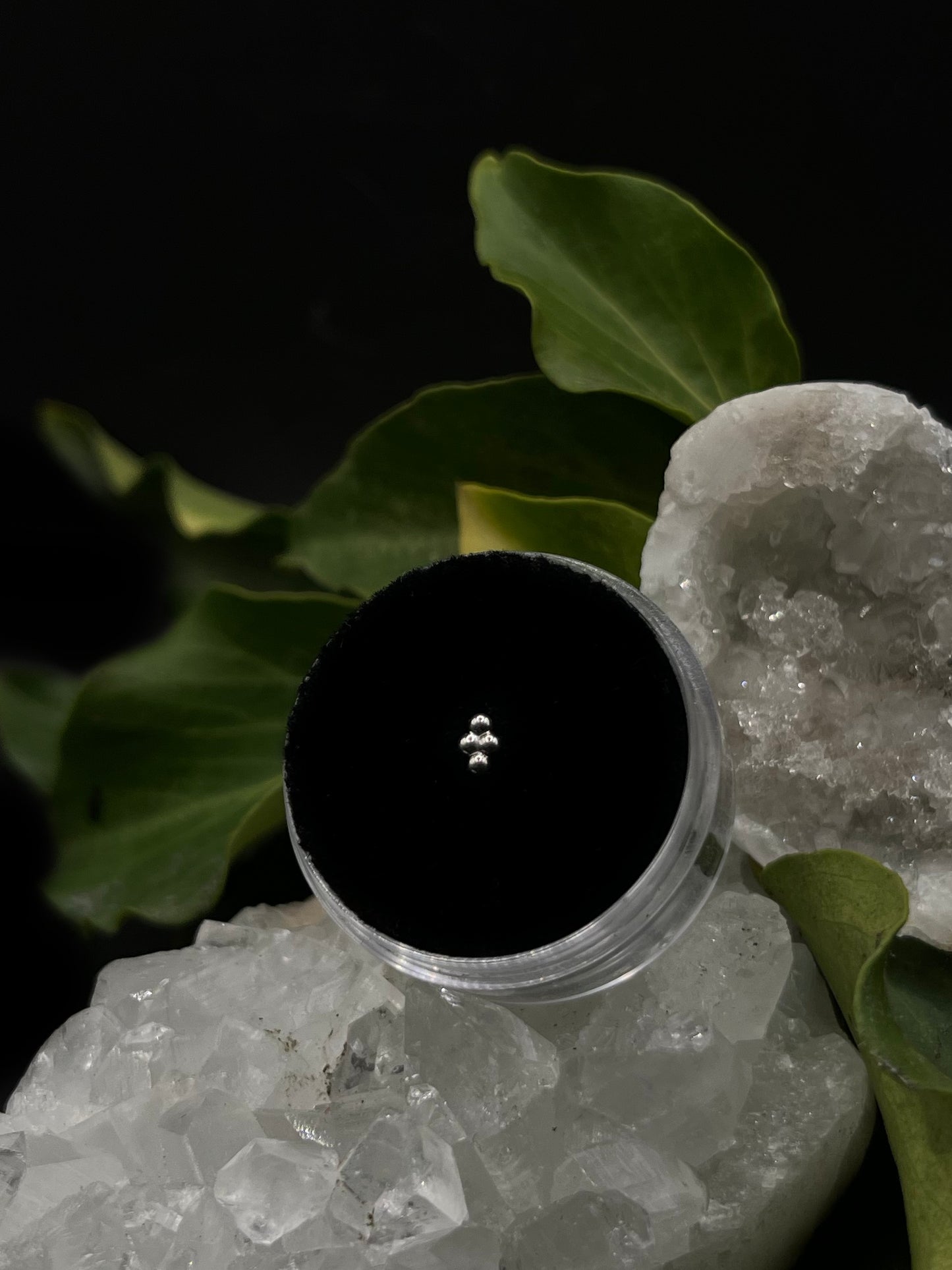 Quad Cluster by Tish