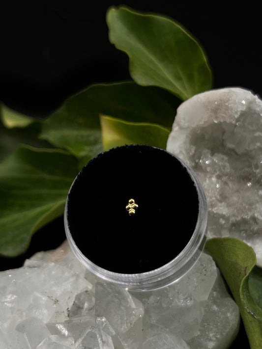 Quad Cluster by Tish