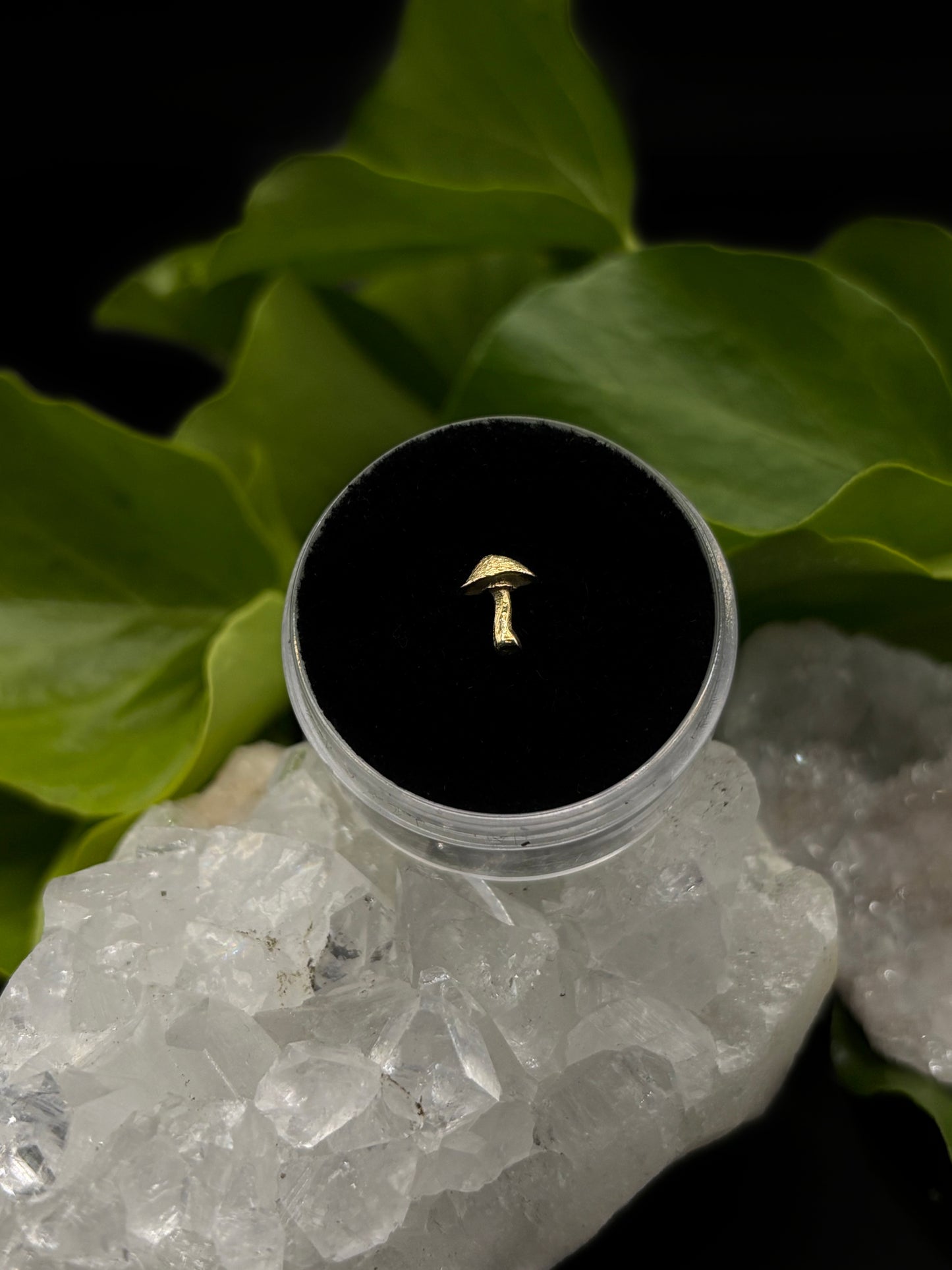 Mushroom IV by Anatometal