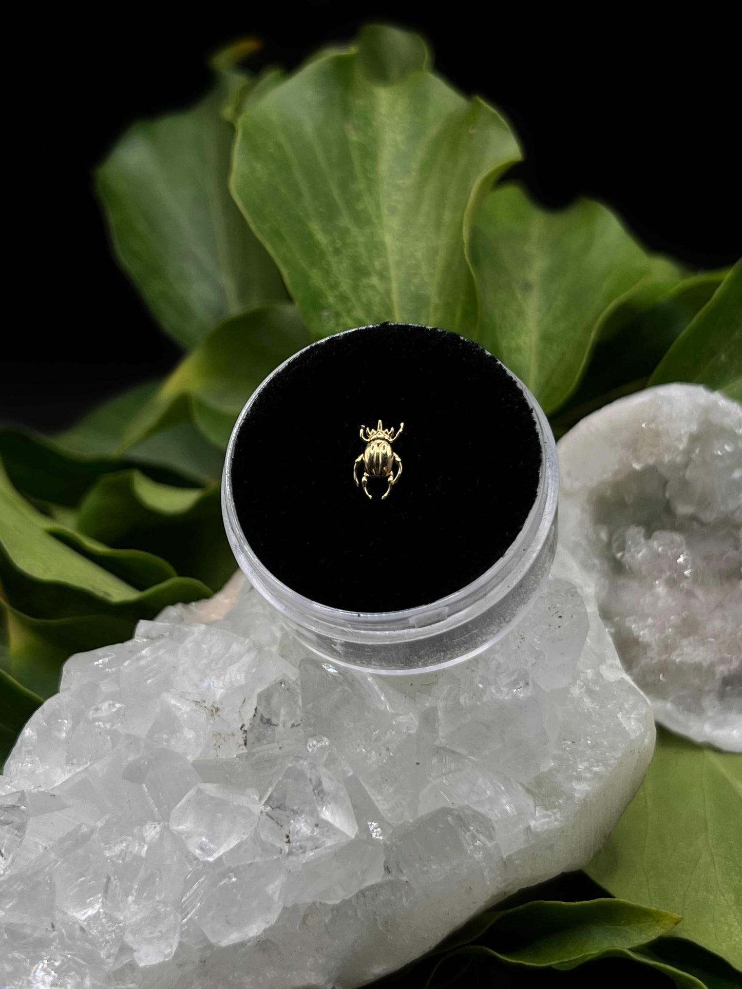 Rhino Beetle by Junipurr