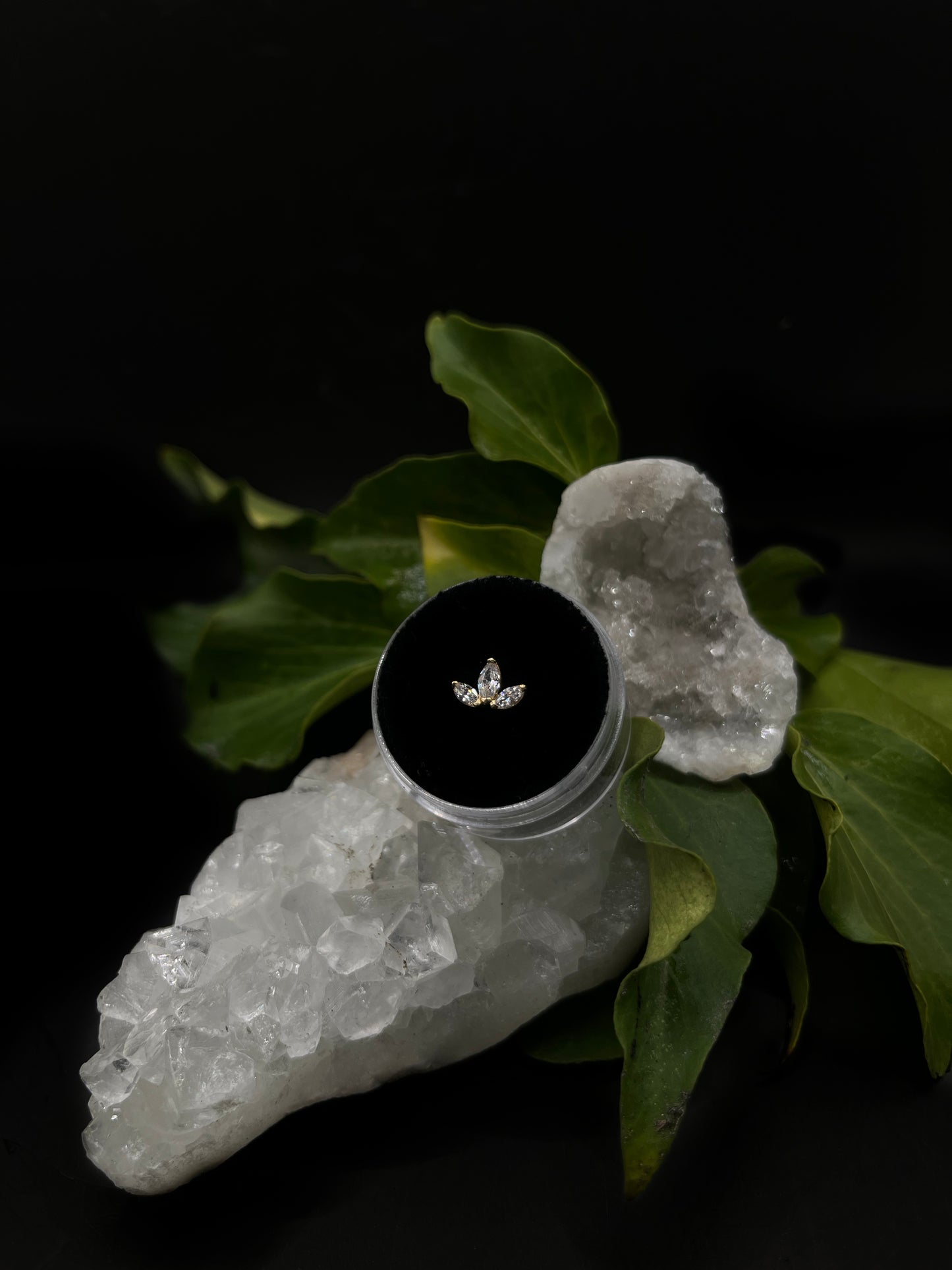 Fleur-de-Lis by Tish