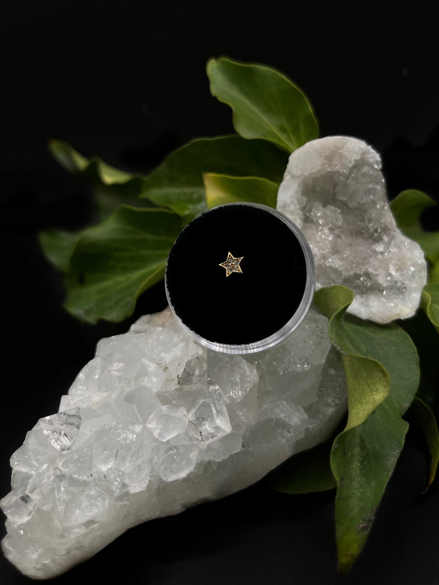 Jewelled Star by Tish