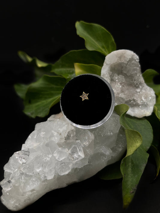 Jewelled Star by Tish