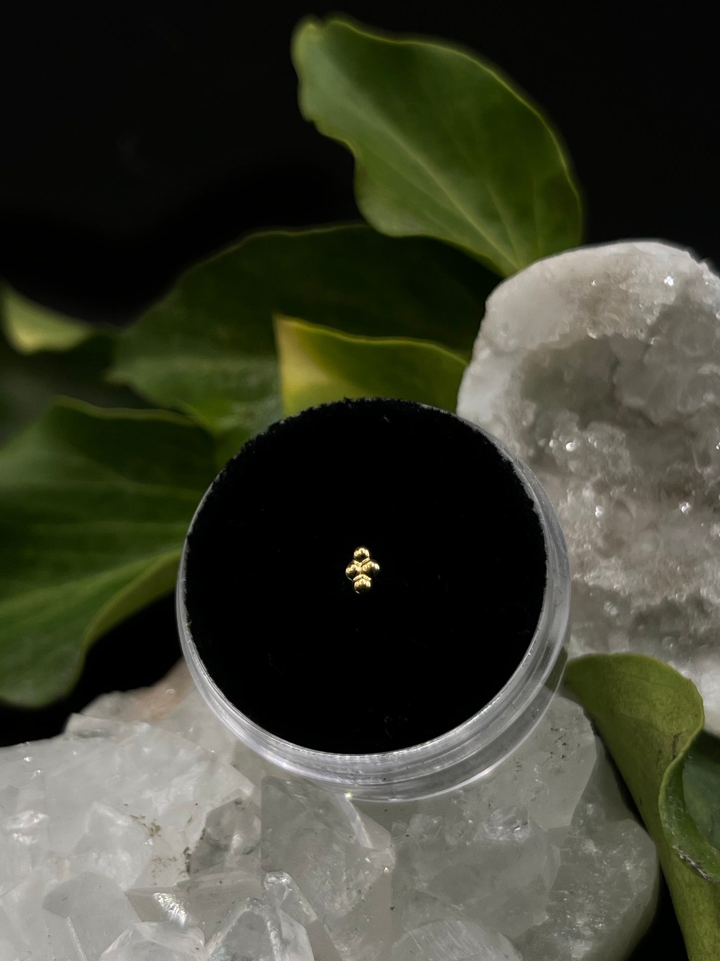 Quad Cluster by Tish